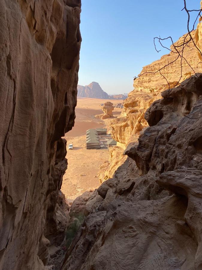 Desert Jewel Camp วาดิรัม ภายนอก รูปภาพ