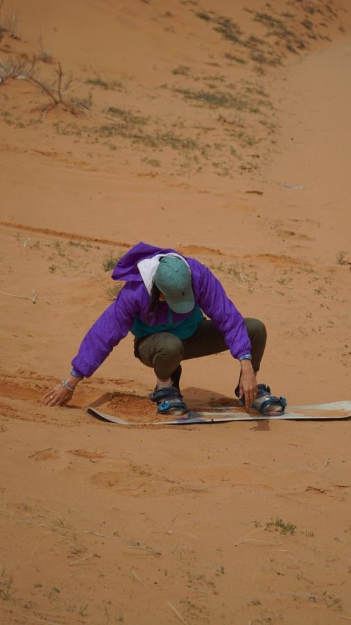 Desert Jewel Camp วาดิรัม ภายนอก รูปภาพ